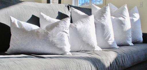 Pillow Inserts